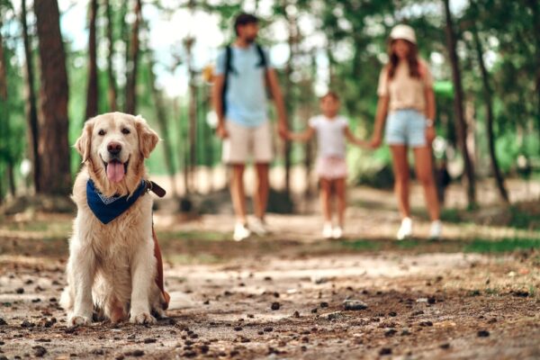 Dog Welcome Packs for Hospitality from Walter Geering