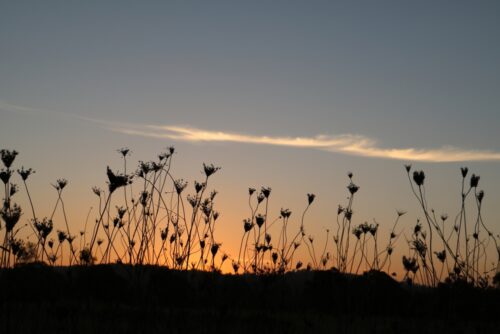 Seed Packs from Walter Geering for Holiday Park Welcome Packs