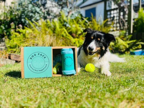 Walter Geering Dog Welcome Pack